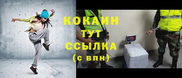 прущие грибы Аркадак