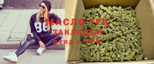 прущие грибы Аркадак