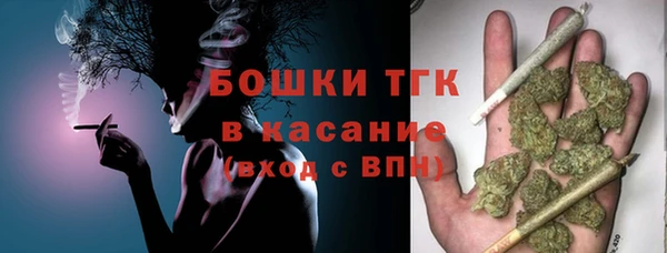 ECSTASY Армянск
