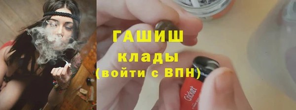 прущие грибы Аркадак