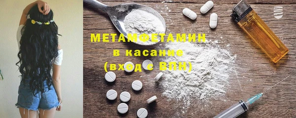 прущие грибы Аркадак