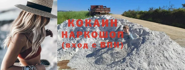 прущие грибы Аркадак