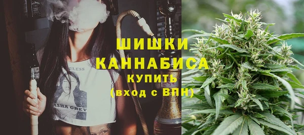 прущие грибы Аркадак