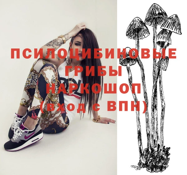 прущие грибы Аркадак